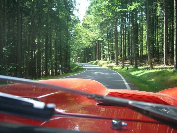 Blick über eine rote Motorhaube auf eine Straße durch den Wald