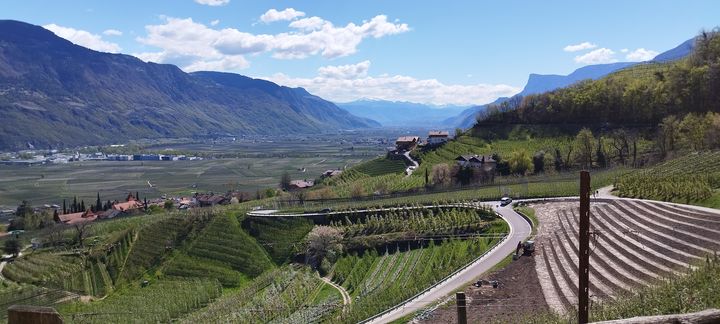 Obstanbau mit Blick ins Tal, Südtirol