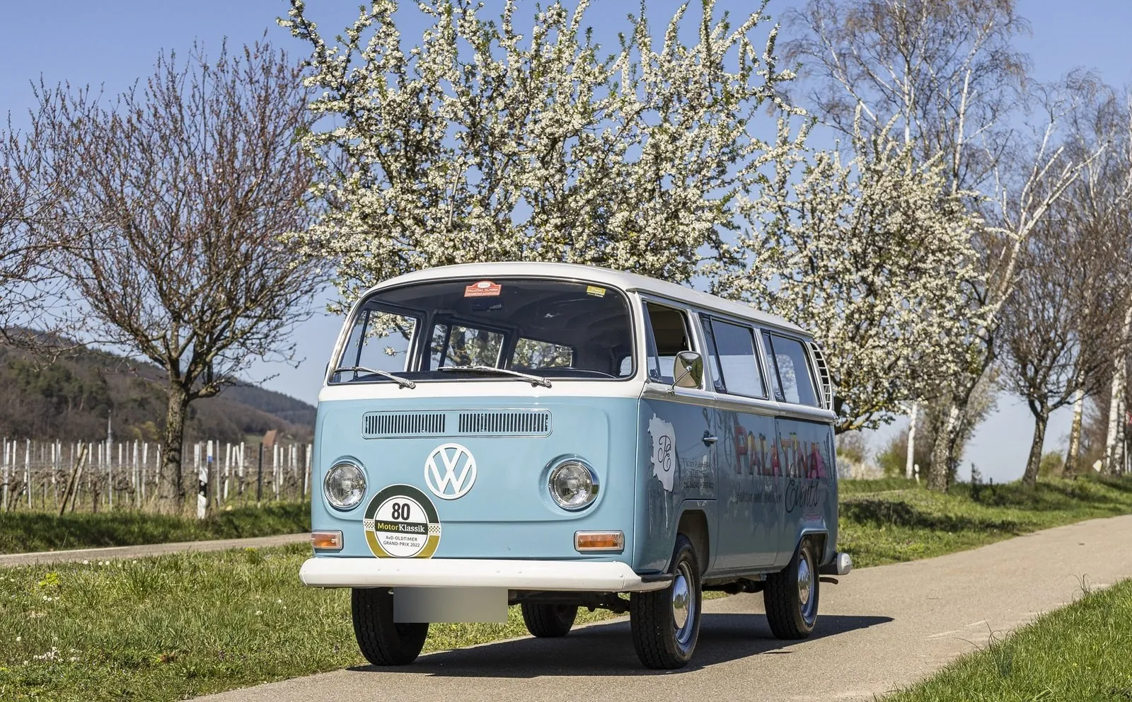 Hellblauer VW Bulli T2 auf einem Weg unter weiß blühenden Obstbäumen, daneben Weinberge