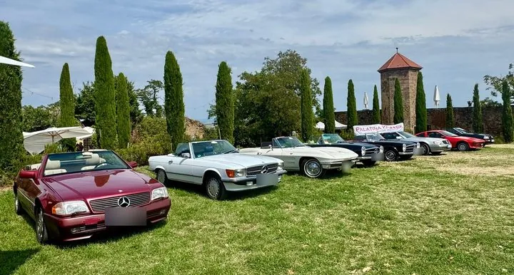 Mercedes SL Cabrios, eine Corvette und weitere Oldtimer nebeneinander auf einer Wiese zwischen Zypressen