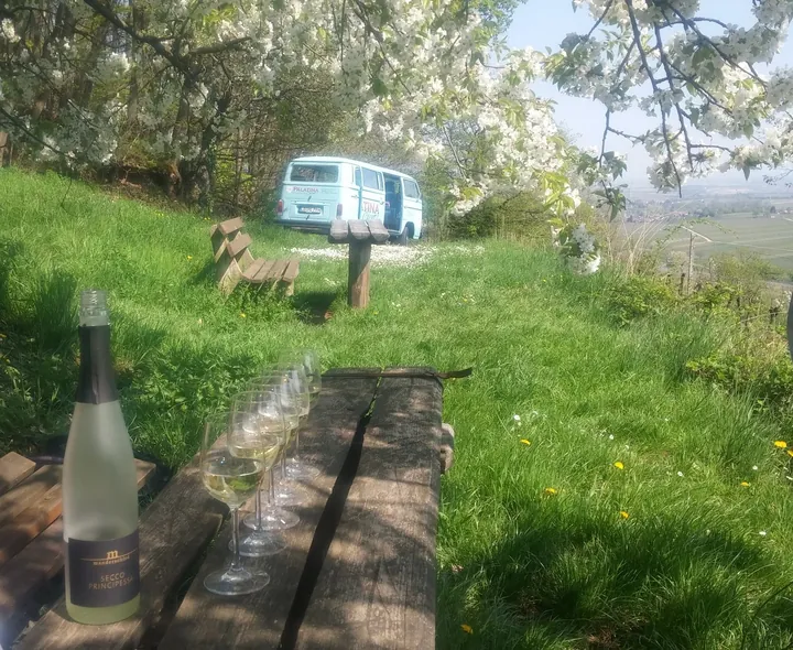 Gläser auf dem Tisch im Grünen, hinten der Bulli