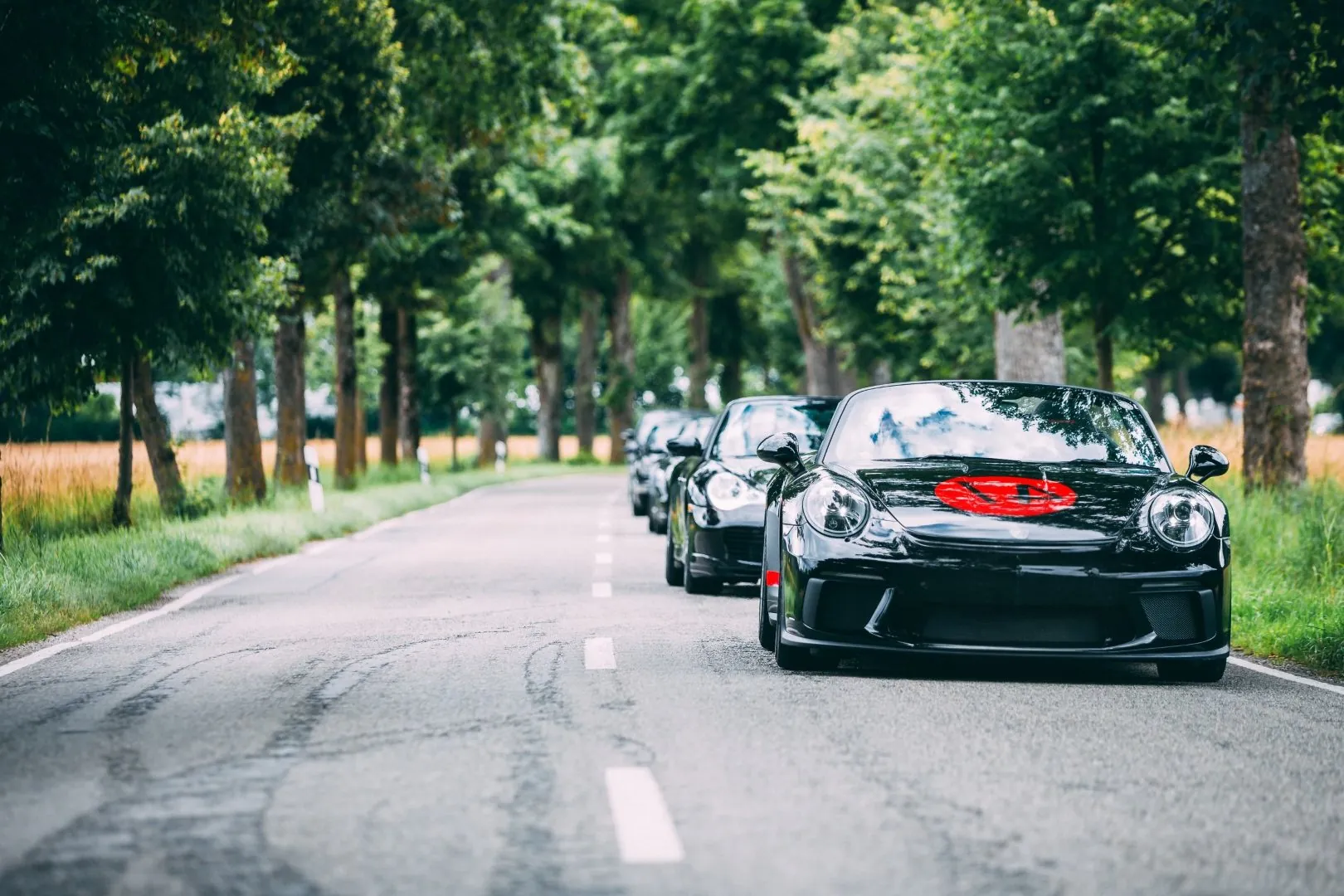 Kolonne dunkler Sportwagen fährt auf einer baumgesäumten Allee