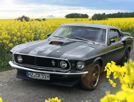Ford Mustang Fastback "John Wick"