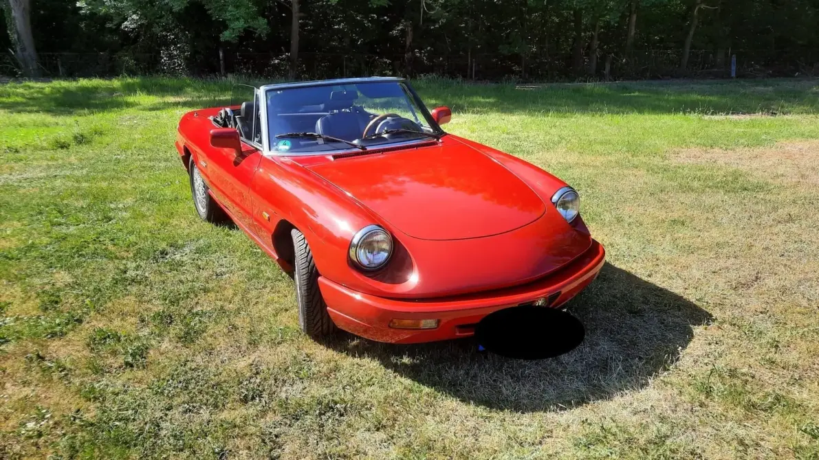 Alfa Romeo 115 Baujahr 1993 zu verkaufen: Roter Alfa Romeo Cabrio mit offenem Verdeck schräg von vorne rechts auf Wiese, Scheinwerfer und Windschutzscheibe sichtbar