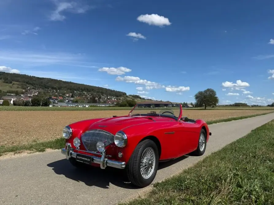 Austin Healey 100/4 BN1, M-Spezifikation (1955) zu verkaufen, Foto 1 von 12