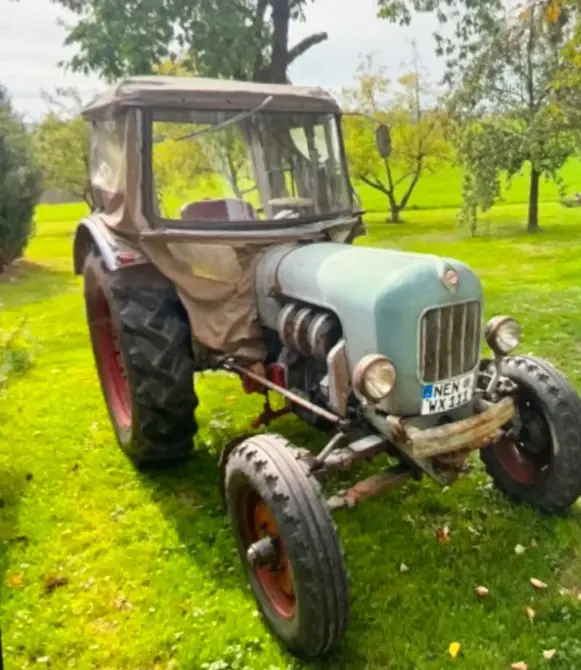 Eicher EM 300 D Königstiger Baujahr 1960 zu verkaufen: Hellblauer Traktor mit geschlossenem Planenverdeck auf Wiese, Kühlergrill, Scheinwerfer, Stoßstange und Kennzeichen sichtbar, dahinter Bäume.