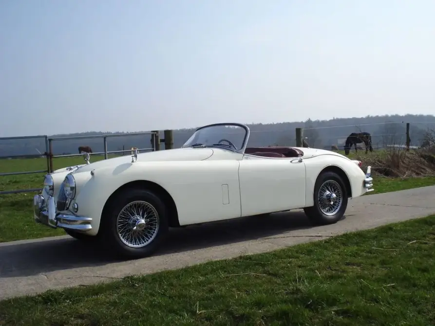 Jaguar Roadster (1959) zu verkaufen, Foto 1 von 10