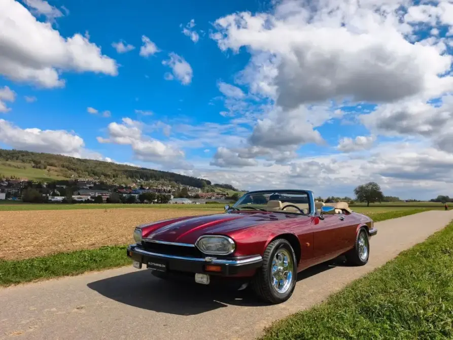 Jaguar XJS V12 (1992) zu verkaufen, Foto 1 von 12
