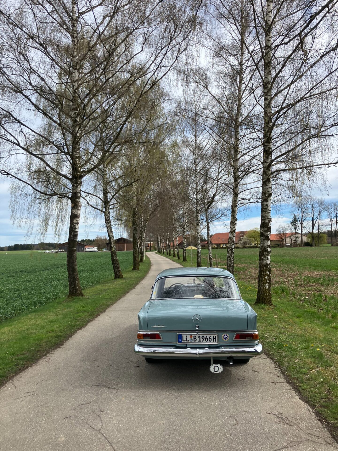 Mercedes-Benz W 110 Heckflosse (1966), Foto 7