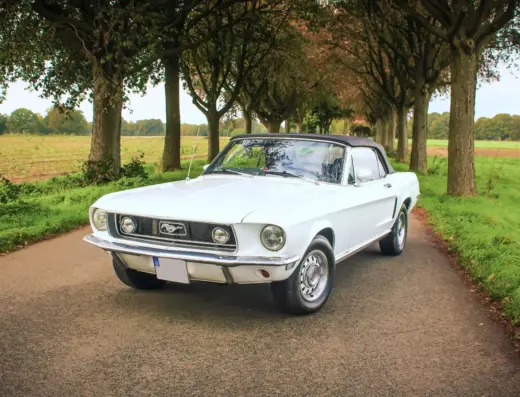 Ford Mustang Cabrio V8