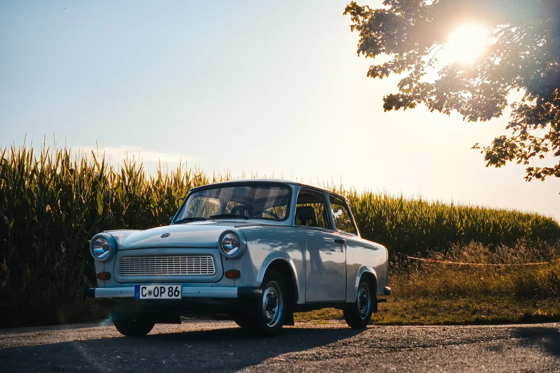 Trabant 601 Limousine Nr.4 1988 mieten in Trabant Vermietung Chemnitz, Rosenpl. 7, 09126 Chemnitz-Bernsdorf, Deutschland (hellblauer Trabant 601 am Feld)