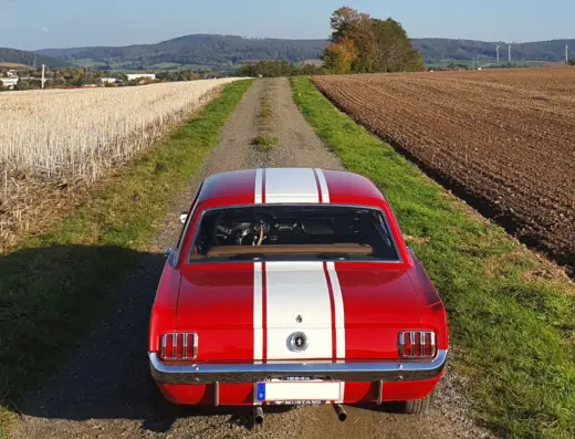 Ford Mustang Coupe