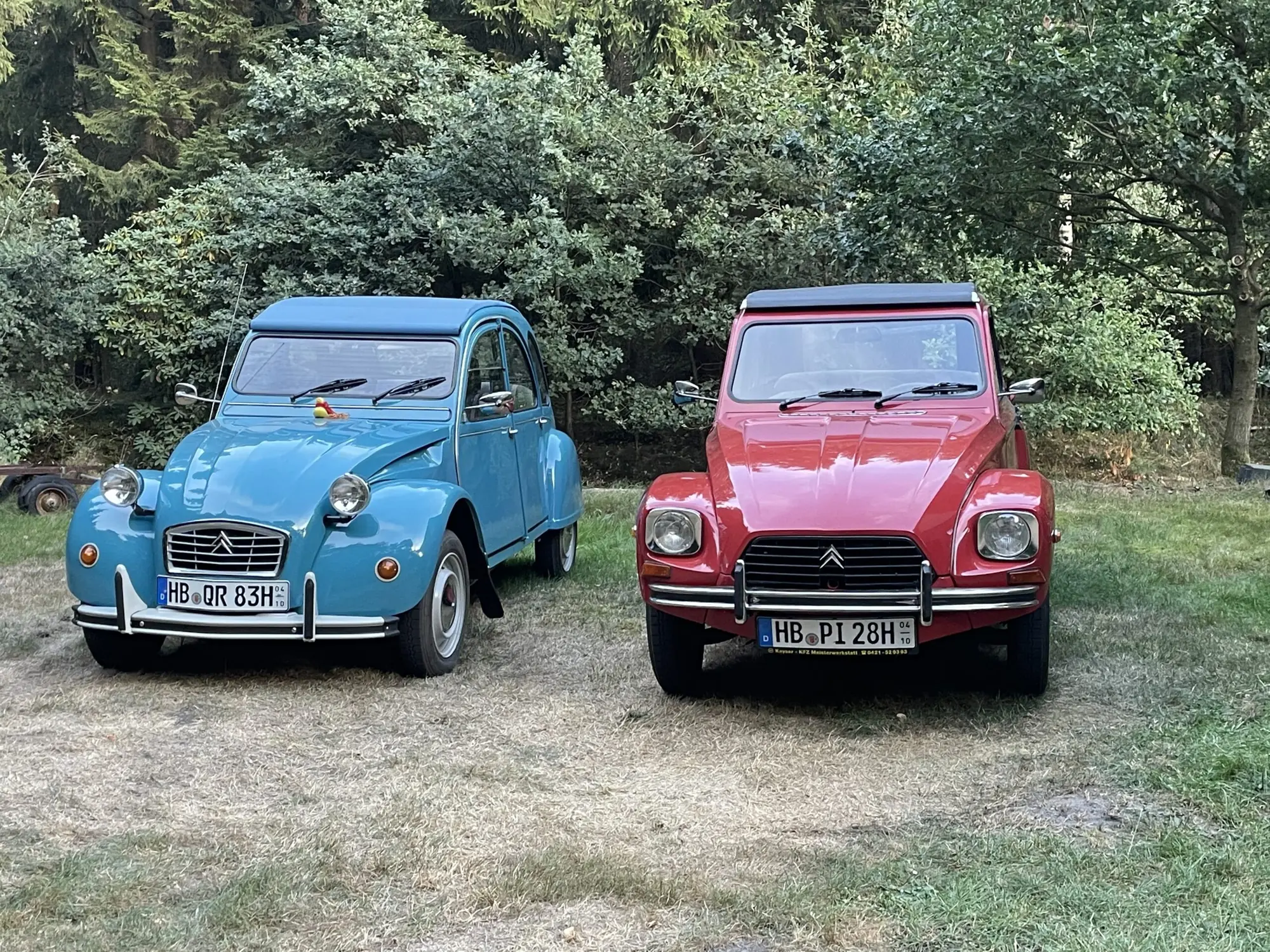 Citroën 2CV 6 1983 mieten in Bremen (Zwei 2CV Frontansicht)