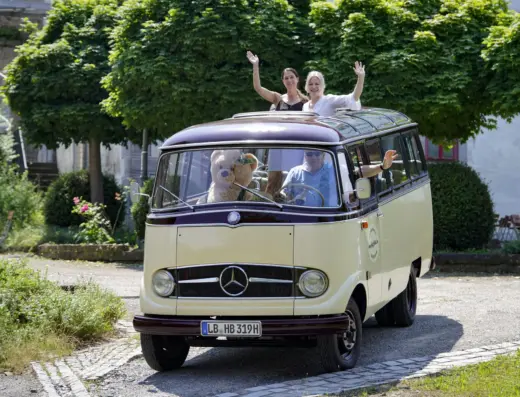 Mercedes-Benz O319