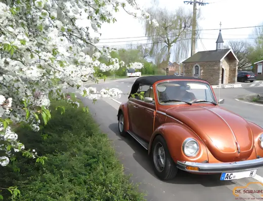 VW Käfer Cabrio