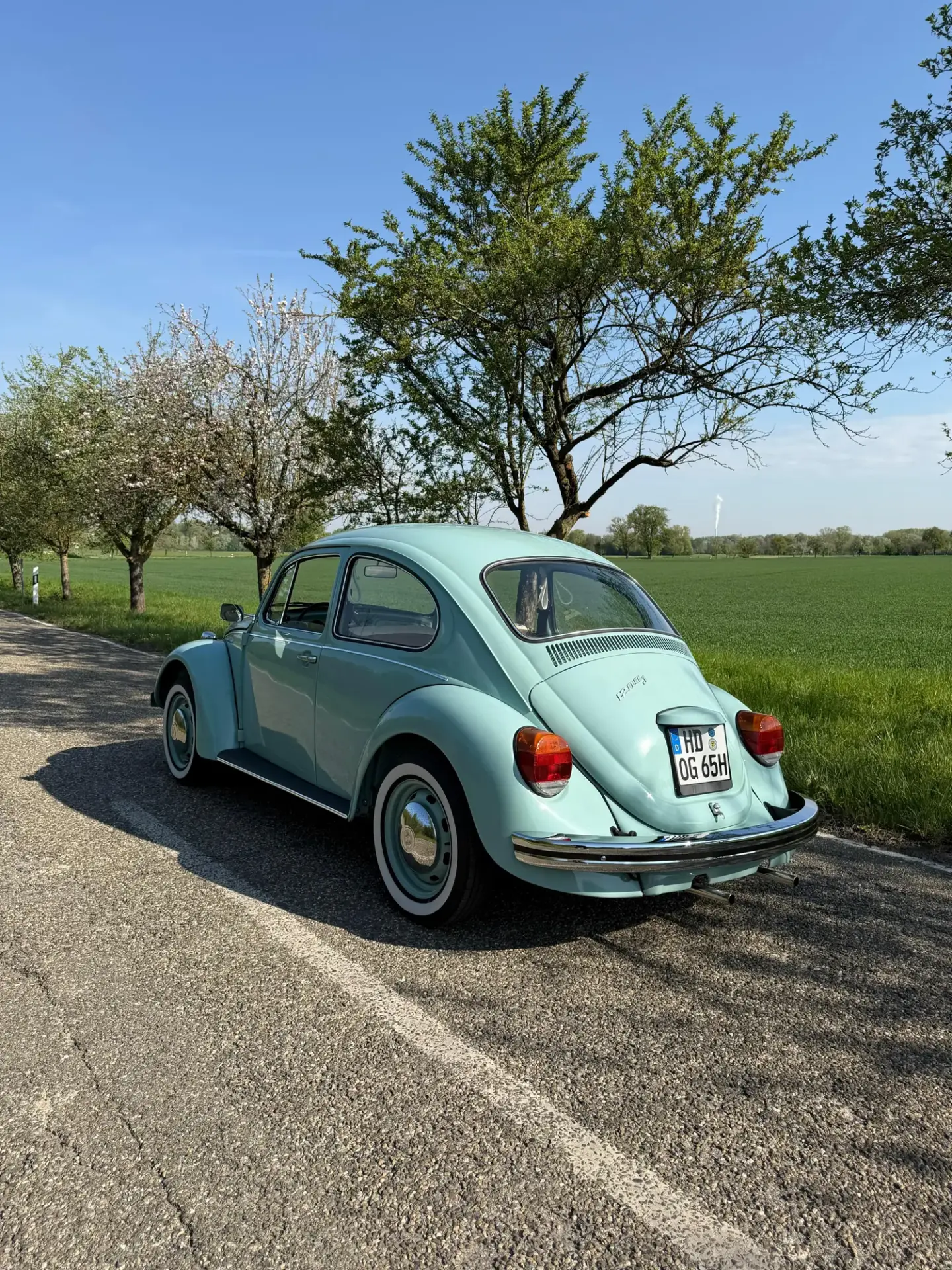 VW Käfer 1200 J 1976 mieten in Hockenheim (Käfer Heck Landstraße)